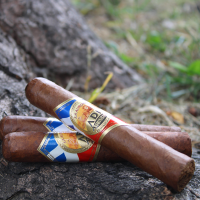 La Aurora Dominican ADN Robusto Cigar - 1 Single